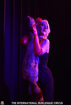 Nuit Blanche at the International Burlesque Circus - the Once Upon A Time edition