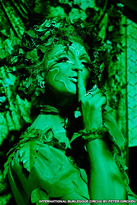 The absinthe bar at the International Burlesque Circus - the Exotic Sensations edition