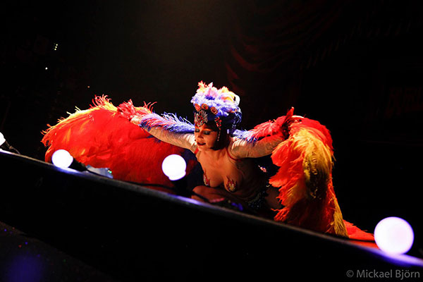 burlesqueshow by Diva Desaster at the Los Muertos Halloween edition of the International Burlesque Circus